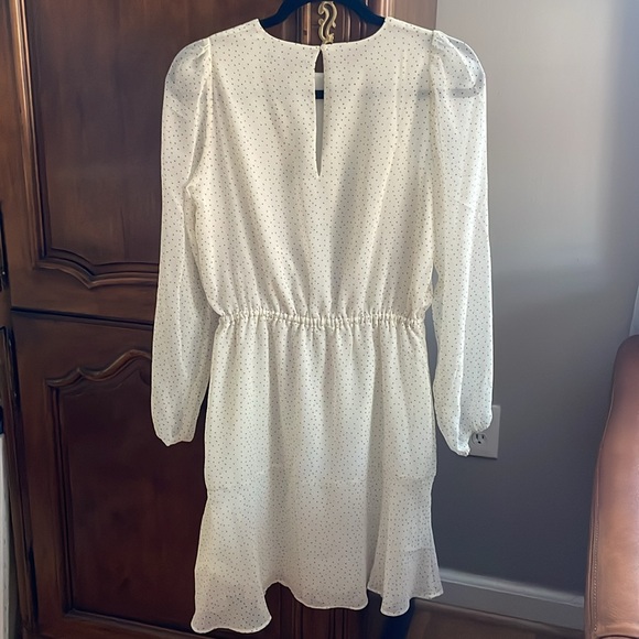 Banana Republic NWT Cream with black polka dots sheer dress.  Size small. - Picture 2 of 6